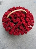 Корзина роз №5, крупная бордовая роза 101 шт.